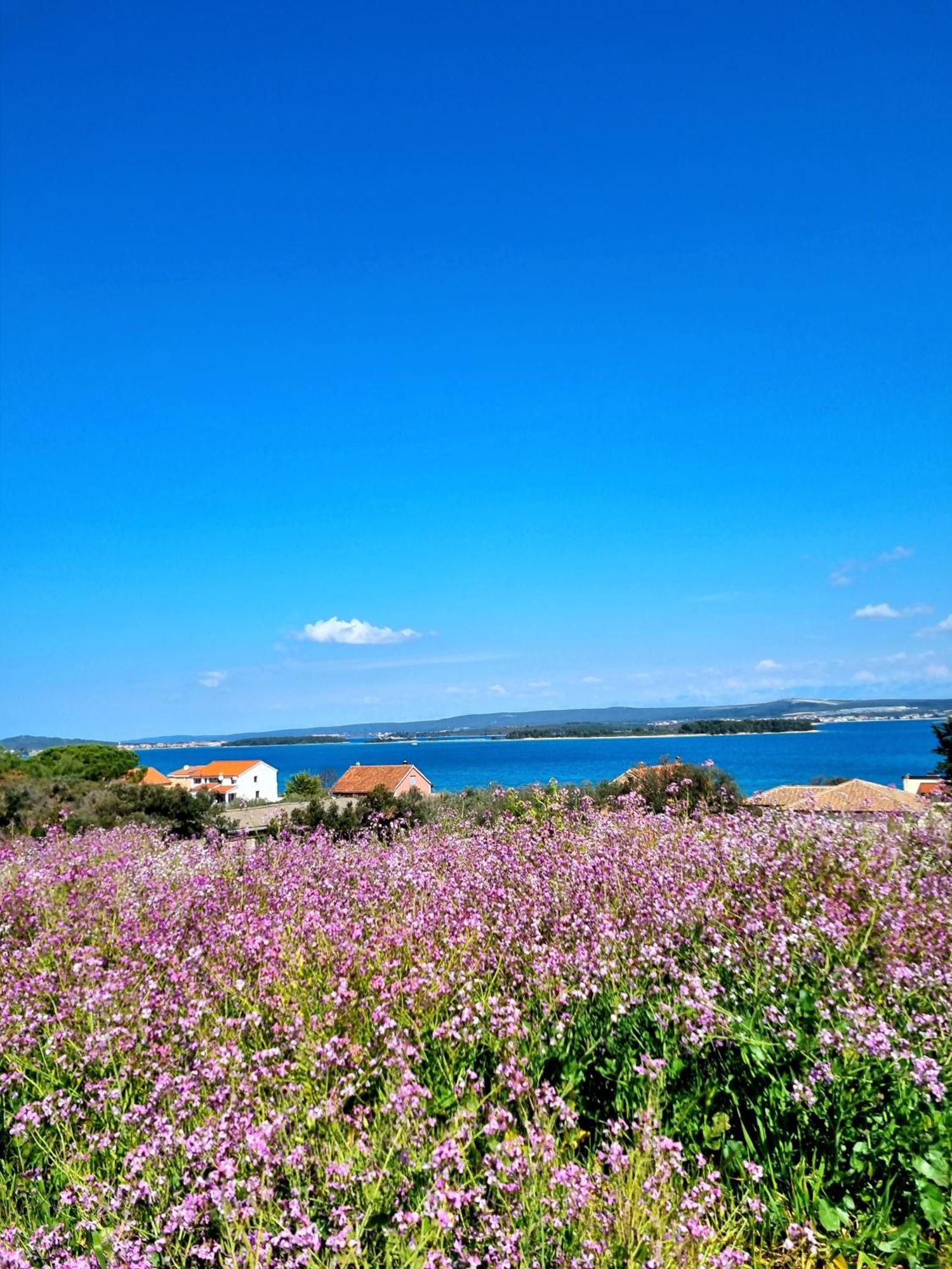 Seaview Apartment Sveti Filip i Jakov Luaran gambar